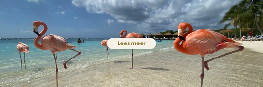 Zuidelijke Caribbean
