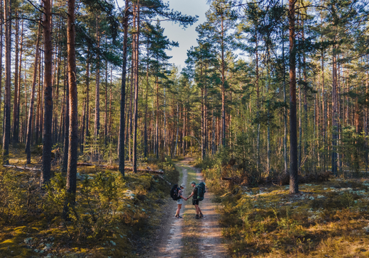 Estland