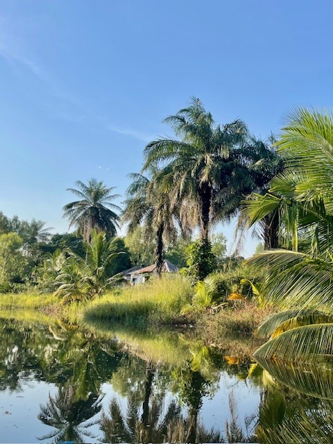 Kajak Gambia