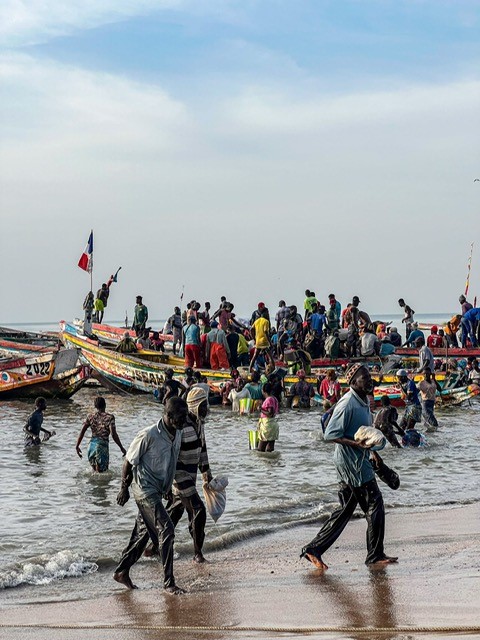 Vismartkt Gambia