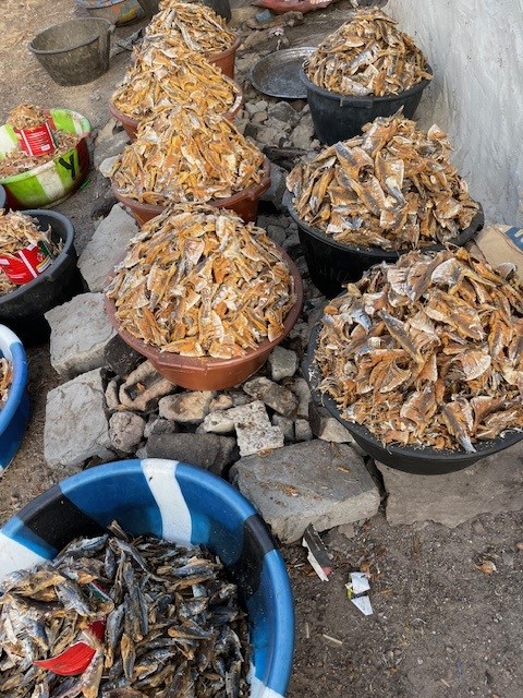Vismartkt Gambia
