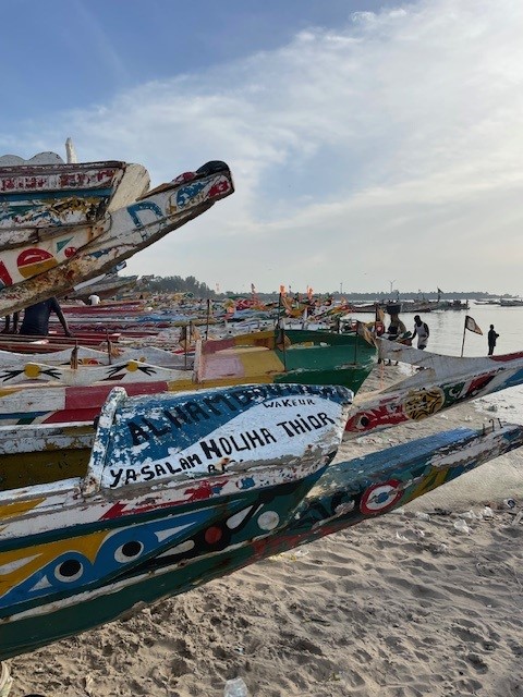 Vismartkt Gambia
