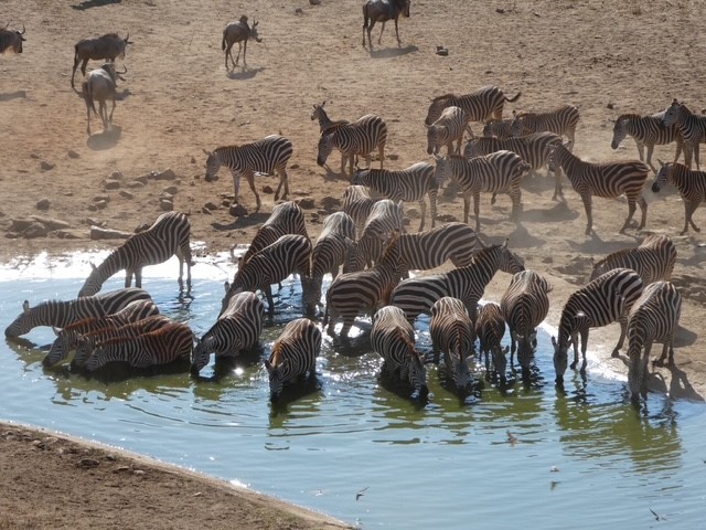 Lodge Kenia