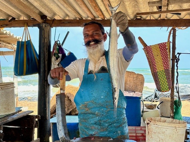 Sri Lanka dag 2 vismarkt