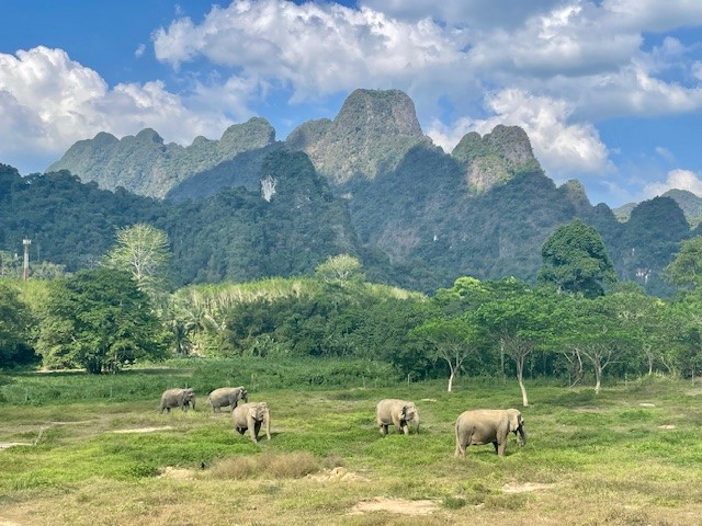 Elephant Hills