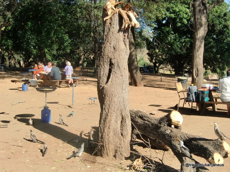 ontbijt maken in het krugerpark