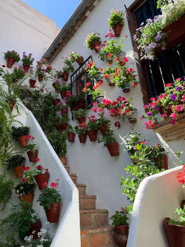 patio Cordoba